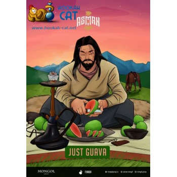 Табак для кальяна Asman Just Guava (Асман Гуава) 100г Акцизный Табак для кальяна Asman Just Guava (Асман Гуава) 100г Акцизный