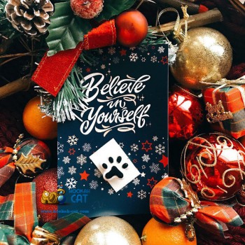 Подарочный сертификат на Новый Год в магазин Кальянный Кот на 5000 рублей - купить кальян в Москве