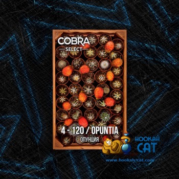 Табак для кальяна Cobra Select Opuntia (Кобра Опунция Селект) 40г Акцизный Табак для кальяна Cobra Select Opuntia (Кобра Опунция Селект) 40г Акцизный
