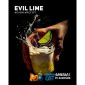 Табак Dark Side Sabotage Evil Lime 250г