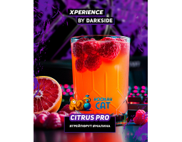 Табак Dark Side Xperience Citrus Pro 120г Табак Dark Side Xperience Citrus Pro 120г