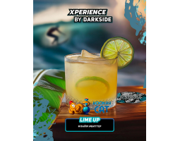 Табак Dark Side Xperience Lime Up 30г Табак Dark Side Xperience Lime Up 30г