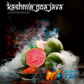Табак Darkside Kashmir Goa Java Medium / Core (Кашмир Гуава) 30г Табак Darkside Kashmir Goa Java Medium / Core (Кашмир Гуава) 30г