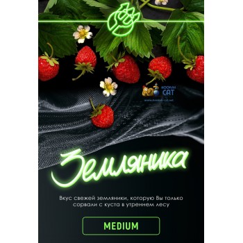 Табак для кальяна Inferno Medium Земляника (Инферно Медиум) Акцизный 50г Табак для кальяна Inferno Medium Земляника (Инферно Медиум) Акцизный 50г