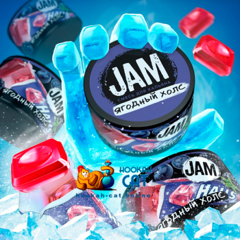 Бестабачная смесь для кальяна Jam (Джем) Сладкий Киви 50г