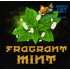 Табак для кальяна Krass M-Line Fragrant Mint (Красс Ароматная Мята) 100г Акцизный Табак для кальяна Krass M-Line Fragrant Mint (Красс Ароматная Мята) 100г Акцизный