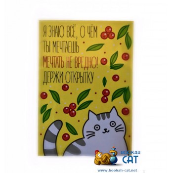 Открытка КОТКА - Мечтать Не Вредно - купить в Москве с доставкой по России Открытка КОТКА - Мечтать Не Вредно - купить в Москве с доставкой по России