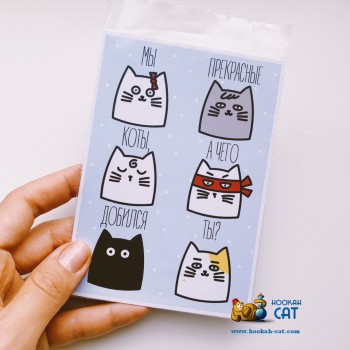 Открытка КОТКА - Мы Прекрасные Коты А Чего Добился Ты - купить в Москве с доставкой по России