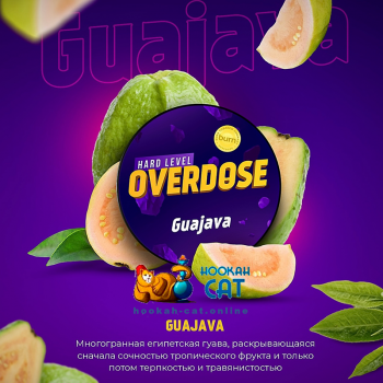 Заказать кальянный табак Overdose Guajava (Овердос Гуава) 100г онлайн с доставкой всей России Заказать кальянный табак Overdose Guajava (Овердос Гуава) 100г онлайн с доставкой всей России