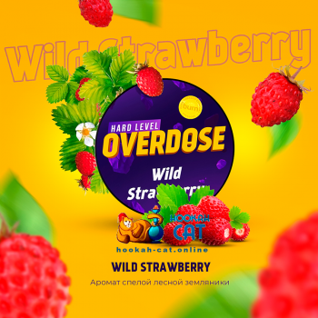 Заказать кальянный табак Overdose Wild Strawberry (Овердос Земляника) 100г онлайн с доставкой всей России Заказать кальянный табак Overdose Wild Strawberry (Овердос Земляника) 100г онлайн с доставкой всей России