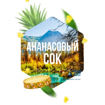 Табак для кальяна Сарма Ананасовый Сок 25г Акцизный Табак для кальяна Сарма Ананасовый Сок 25г Акцизный