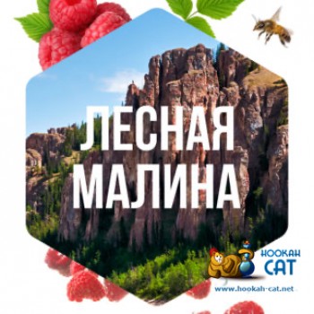 Табак для кальяна Сарма Лесная Малина 120г Акцизный