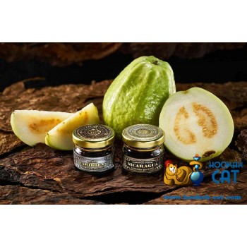 Заказать кальянный табак WTO Nicaragua Guava (ВТО Никарагуа Гуава) 20г онлайн с доставкой всей России