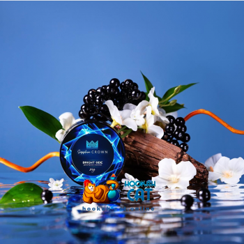 Табак для кальяна Sapphire Crown Bright Side (Бузина Жасмин) 25г Акцизный Табак для кальяна Sapphire Crown Bright Side (Бузина Жасмин) 25г Акцизный