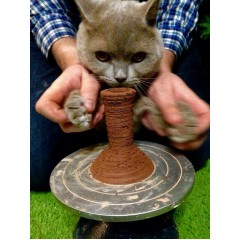 Чашки Vintage Чашки Vintage